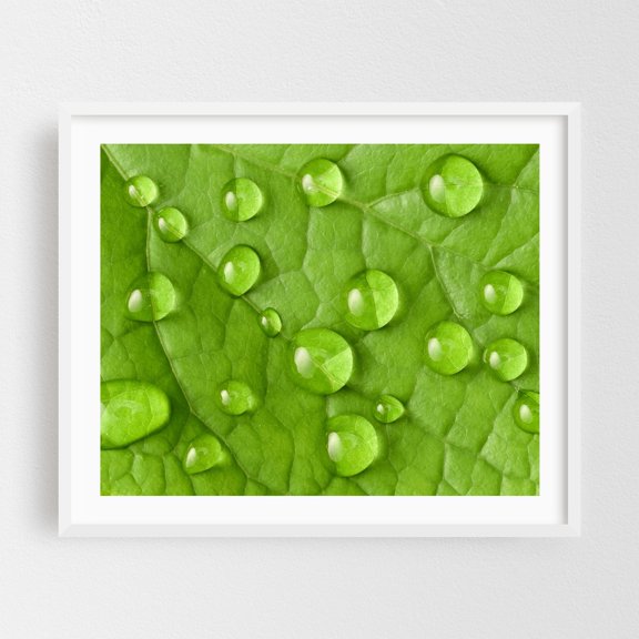 Raindrops on a green leaf - Photography Nature Botanical Water Calm Garden White Framed Wall Art Print 8 x 10 inches
