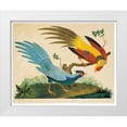 thumbnail image 1 of Raineri, Carlo, Vittorio 24x20 White Modern Wood Framed Museum Art Print Titled - Golden and Silver Pheasant, 1 of 4