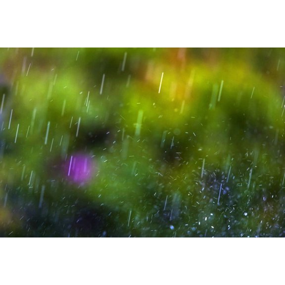 Rainfall Canvas Art - Richard Wear  Design Pics (17 x 11)