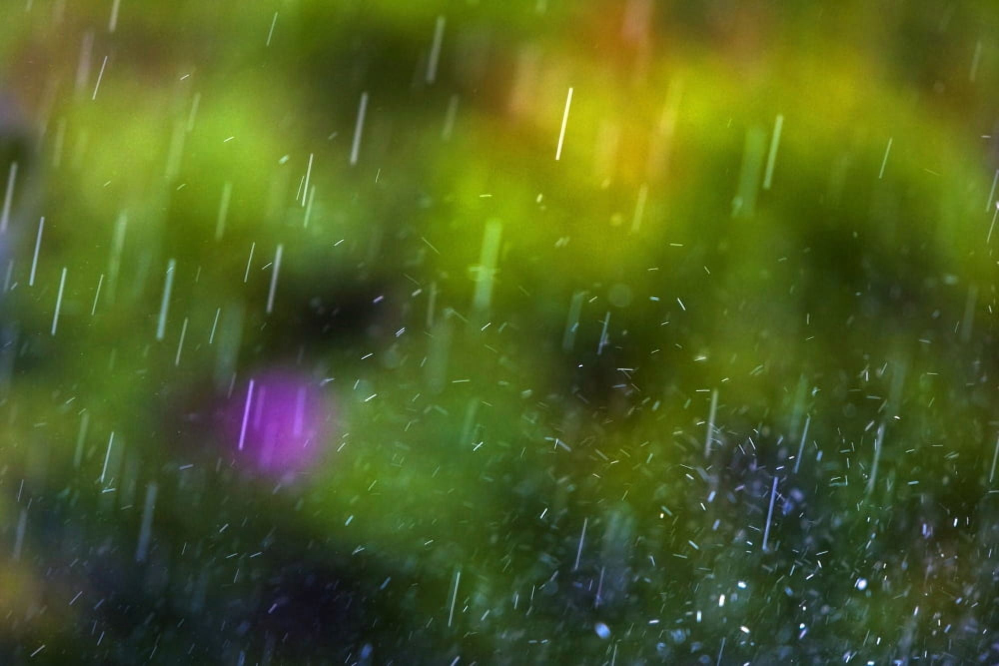 Rainfall Canvas Art - Richard Wear Design Pics (34 x 22)