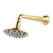 Rainfall Shower Head Gold PVD Brass 42 Nozzle 6" | Renovator's Supply