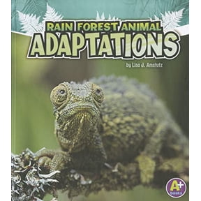 Pre-Owned Rain Forest Animal Adaptations (Paperback) 1429670347 9781429670340