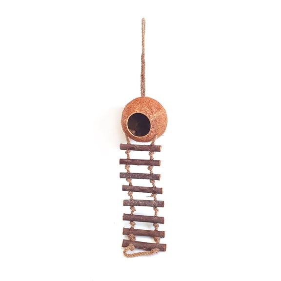 Rainforest Bowls Coconut Birdhouse with Ladder