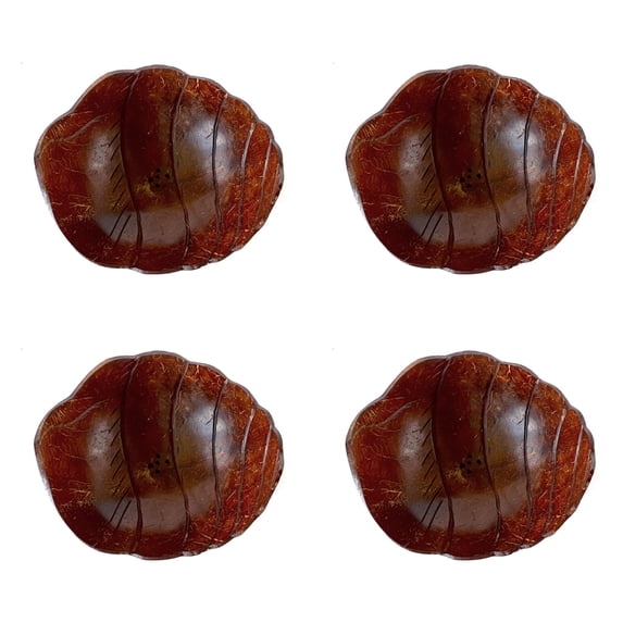 Rainforest Bowls Cocoon Coconut Soap Dish 4-Pack