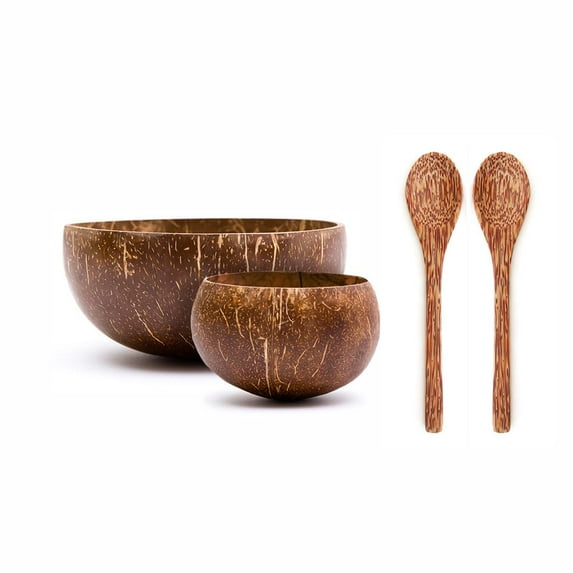 Rainforest Bowls Jumbo & Small Coconut Bowls Set w/ Wooden Utensils (Original) + 2 Forks