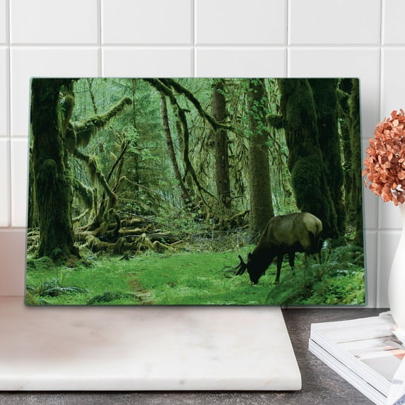 Rainforest Cutting Board, Roosevelt Elk in Rain Forest Wildlife National Park America Antlers Theme, Decorative Tempered Glass Cutting and Serving Board, Large Size, Green Brown, by Ambesonne
