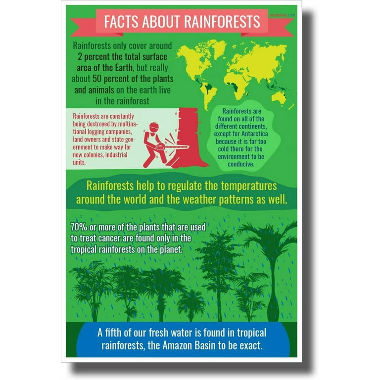 Environment Fact File Rainforest Facts 18 Tropical Rainforest Animals You Should Know