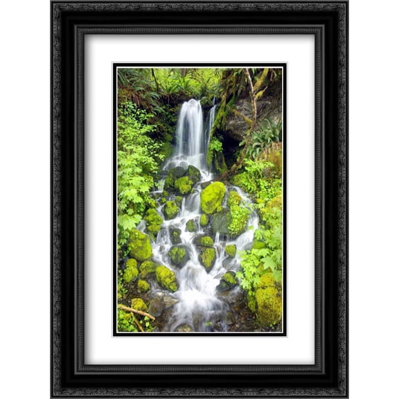 Rainforest Falls 2x Matted 18x24 Black Ornate Framed Art Print by Taylor, Douglas