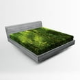 thumbnail image 1 of Rainforest Fitted Sheet, Sun Beaming into Tropical Forest Adventure Hiking Environment Dense Greenery Print, Soft Decorative Fabric Bedding, Full Size, Green, by Ambesonne, 1 of 2