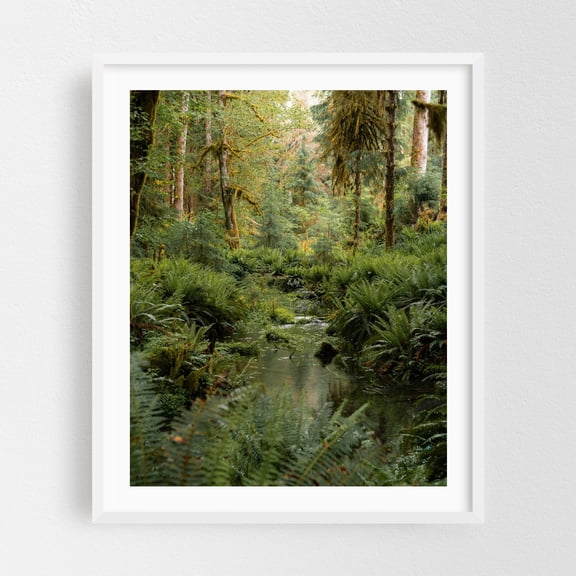Rainforest Green IV - Port Angeles Washington Photography Forest Nature Woodland Wilderness Scenic Botanical Woods White Framed Wall Art Print 11 x 14 inches