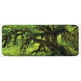 thumbnail image 1 of Rainforest Kitchen Mat, Tree with Moss in the Jungle Natural Life Feng Shui Silent Plants Pattern, Plush Decorative Kitchen Mat with Non Slip Backing, 47" X 19", Green Brown, by Ambesonne, 1 of 1