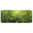 thumbnail image 1 of Rainforest Kitchen Mat, Tropical Rainforest Landscape Malaysia Asia Green Tree Trunks Uncultivated Wood Print, Plush Decorative Kitchen Mat with Non Slip Backing, 47" X 19", Green, by Ambesonne, 1 of 1