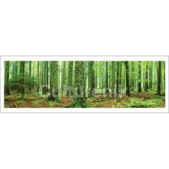Rainforest Laminated Poster (36 X 12)