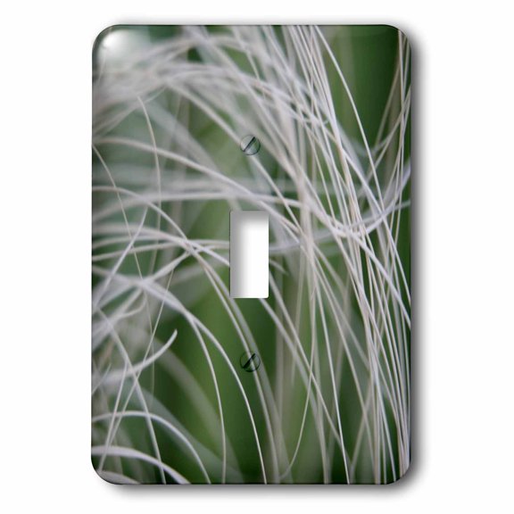 3dRose, Rainforest Palm Tree Leaf Close Up, single toggle switch