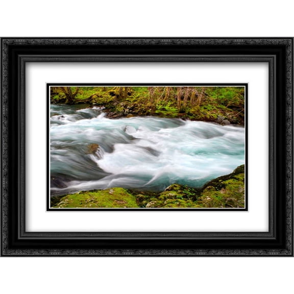 Rainforest River II 2x Matted 24x18 Black Ornate Framed Art Print by Taylor, Douglas