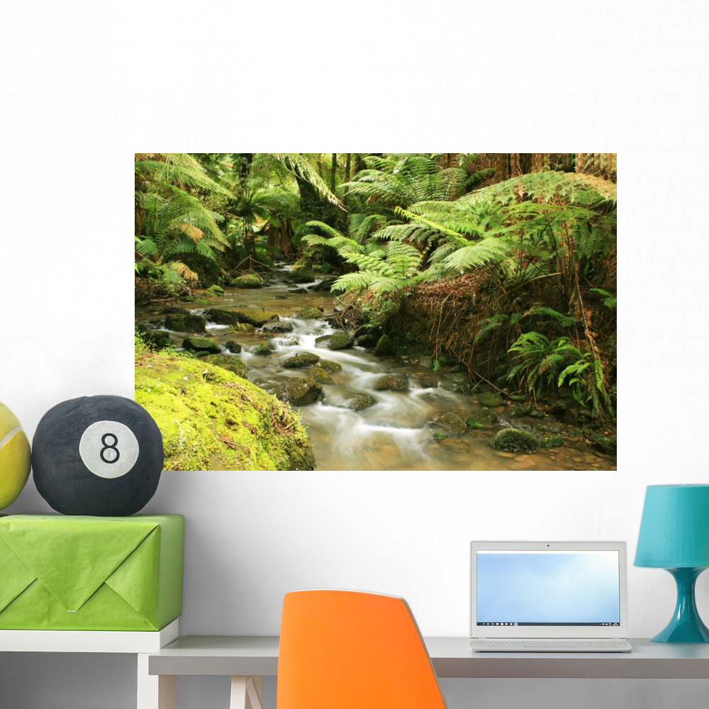 Rainforest River Wall Mural by Wallmonkeys Peel and Stick Graphic (36 ...