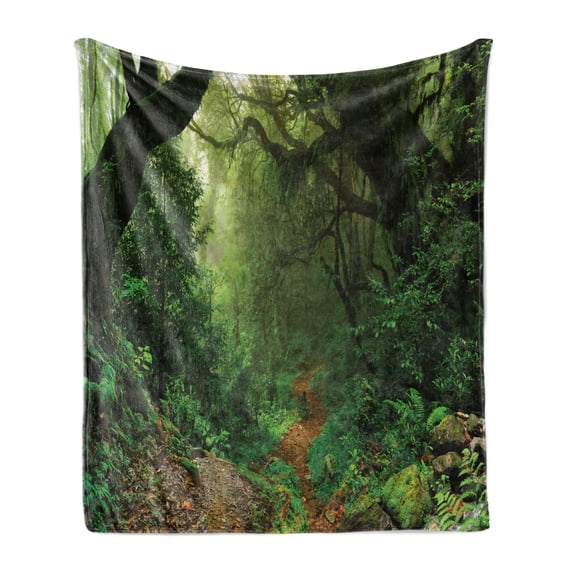 Rainforest Soft Flannel Fleece Blanket, Forest in Nepal Touristic Trekking Branches Misty Road Fresh Air Outdoors Theme, Cozy Plush for Indoor and Outdoor Use, 70" x 90", Green Brown, by Ambesonne