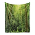 thumbnail image 1 of Rainforest Soft Flannel Fleece Blanket, Tropical Rainforest Landscape Malaysia Asia Green Tree Trunks Uncultivated Wood Print, Cozy Plush for Indoor and Outdoor Use, 60" x 80", Green, by Ambesonne, 1 of 5
