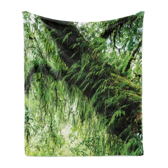 Rainforest Soft Flannel Fleece Throw Blanket, Idyllic Atmosphere in Tropical Jungle on Springtime Natural Relaxation Theme, Cozy Plush for Indoor and Outdoor Use, 50" x 70", Green Brown, by Ambesonne