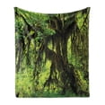 thumbnail image 1 of Rainforest Soft Flannel Fleece Throw Blanket, Tree with Moss in the Jungle Natural Life Feng Shui Silent Plants Pattern, Cozy Plush for Indoor and Outdoor Use, 60" x 80", Green Brown, by Ambesonne, 1 of 5