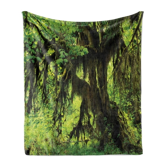 Rainforest Soft Flannel Fleece Throw Blanket, Tree with Moss in the Jungle Natural Life Feng Shui Silent Plants Pattern, Cozy Plush for Indoor and Outdoor Use, 70" x 90", Green Brown, by Ambesonne