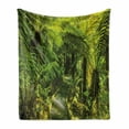 thumbnail image 1 of Rainforest Soft Flannel Fleece Throw Blanket, Rainforest Walkway Board Ferns Wet Rural Spring Traveling Destination Nature, Cozy Plush for Indoor and Outdoor Use, 50" x 60", Green, by Ambesonne, 1 of 5