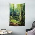 thumbnail image 1 of Rainforest Tapestry, Morning Sunbeam Through Wild Forest Ivy on Trees Tranquility in Nature Eco, Wall Hanging for Bedroom Living Room Dorm Decor, 40W X 60L Inches, Green Brown, by Ambesonne, 1 of 1