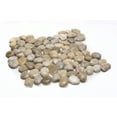 thumbnail image 1 of Rainforest White Mid-Polish Pebble Stone Floor and Wall Tile 12" x12" (5.0 Sq. ft. / Case), 1 of 4