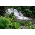 thumbnail image 1 of Rainforest waterfall, Serra da Bocaina NP, Parati, Brazil (36 x 24), 1 of 1