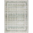 thumbnail image 1 of BoutiqueRugs Rainier Traditional Area Rug - Machine Washable - Green, Brown - 7'10" x 10'2", 1 of 7