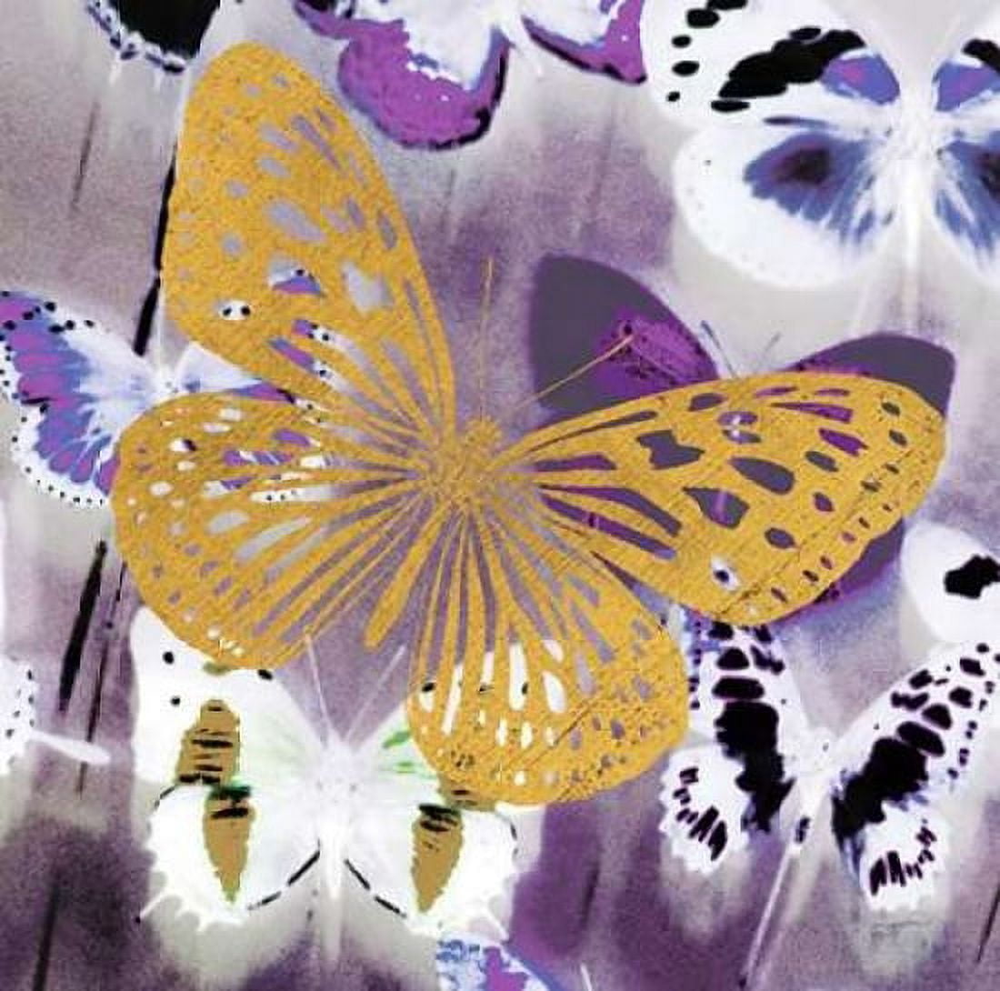 Raining Butterflies 1 Canvas Art - Evangeline Taylor (24 x 24)