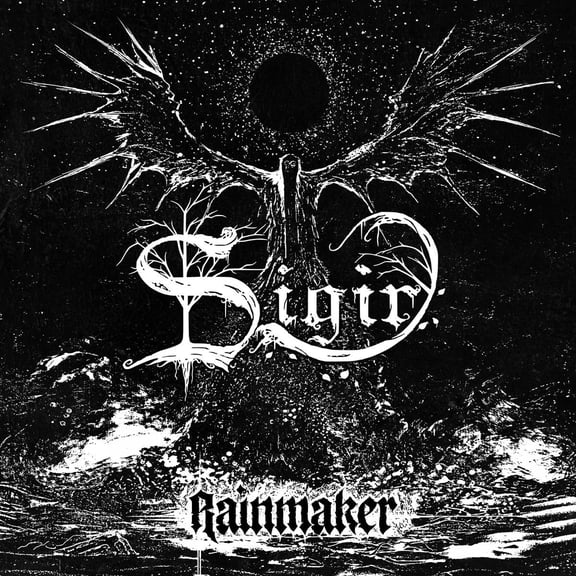 Rainmaker (Audiobook)