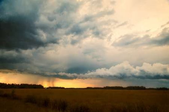 Rainshaft Canvas Art - Roberta Murray (12 x 18)