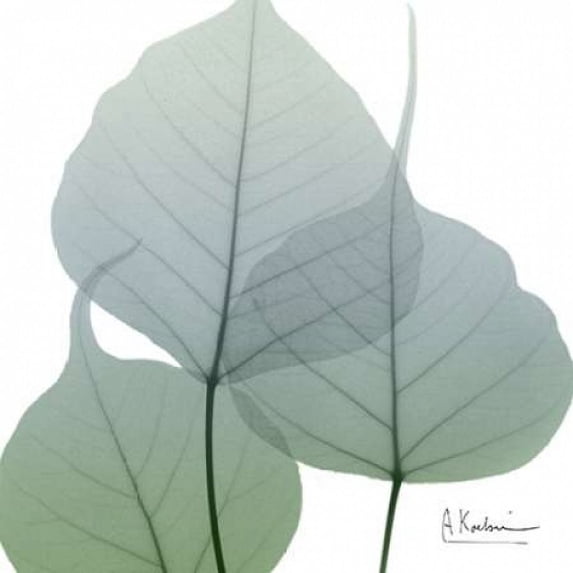 Rainy Bo Tree Poster Print by Albert Koetsier (24 x 24)
