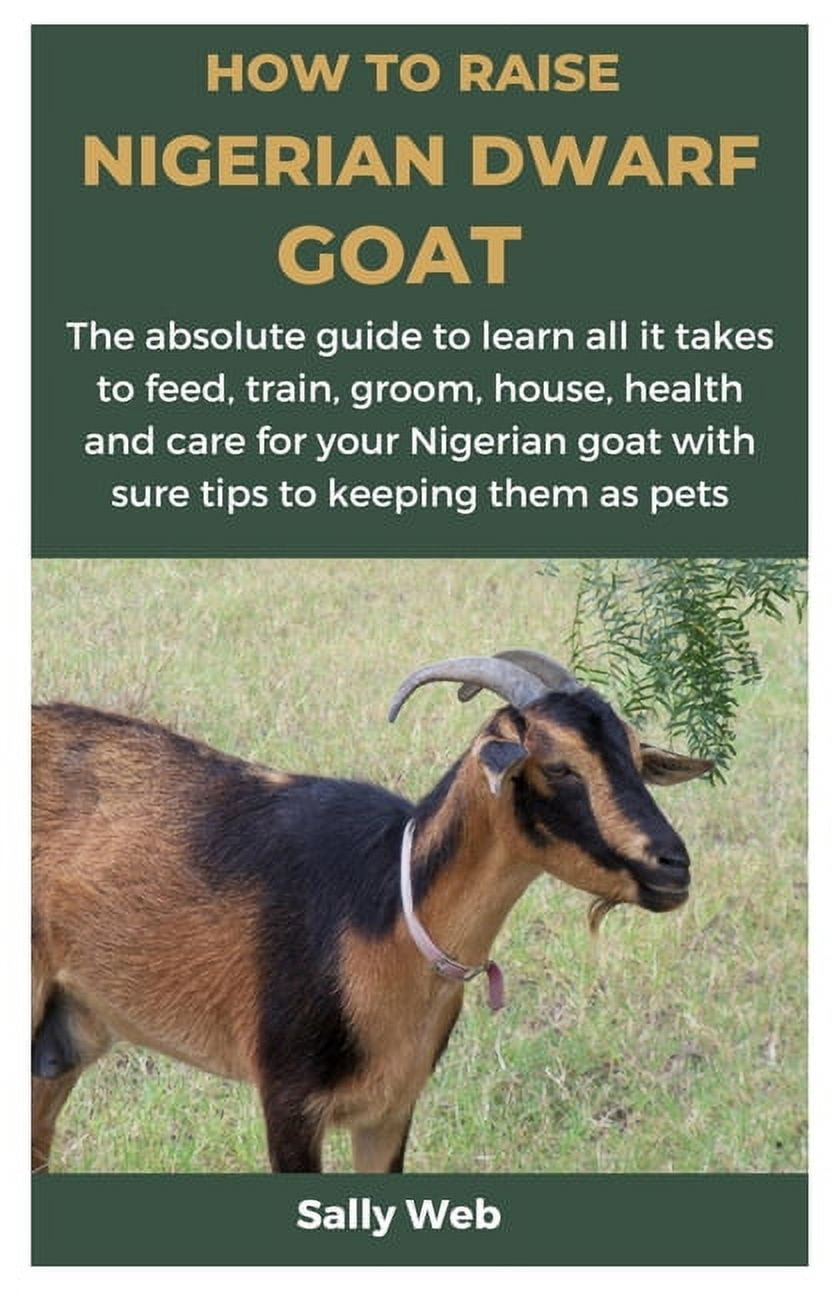 How to Raise Nigerian Dwarf Goat: The absolute guide to learn all it ...