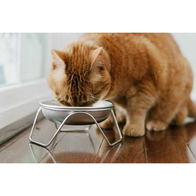 Raised Cat Bowl Stand for Food & Water by Americat – Made in USA –  Stainless Steel, Spill-Proof Elevated Feeder, Dishwasher Safe, Human Grade,  Whisker Friendly 