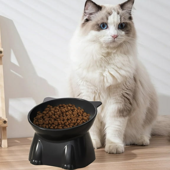 Raised Cat Bowls, Elevated Tilted Cat Food and Water Bowls, Porcelain Stress Free Pet Feeder Dish for Cats and Small Dogs, Dishwasher and Microwave Safe