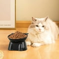 thumbnail image 1 of Raised Cat Food Bowl – Ceramic Elevated 15° Tilted Cat Bowl for Whisker & Neck Fatigue, Dishwasher Safe – Non-Slip & Anti Vomiting Ergonomic Design （Black）, 1 of 6
