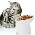 thumbnail image 1 of Raised Cat Food Bowl Ceramic Elevated Cat Bowls Extra Wide Tilted Pet Bowl for Food and Water Shallow Cat Food Dish Protect Spine Dishwasher and Microwave Safe Great Height, 1 of 9
