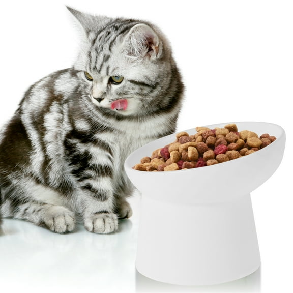 Raised Cat Food Bowl Ceramic Elevated Cat Bowls Extra Wide Tilted Pet Bowl for Food and Water Shallow Cat Food Dish Protect Spine Dishwasher and Microwave Safe Great Height