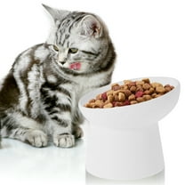 Raised Cat Food Bowl Ceramic Elevated Cat Bowls Extra Wide Tilted Pet Bowl for Food and Water Shallow Cat Food Dish Protect Spine Dishwasher and Microwave Safe Great Height