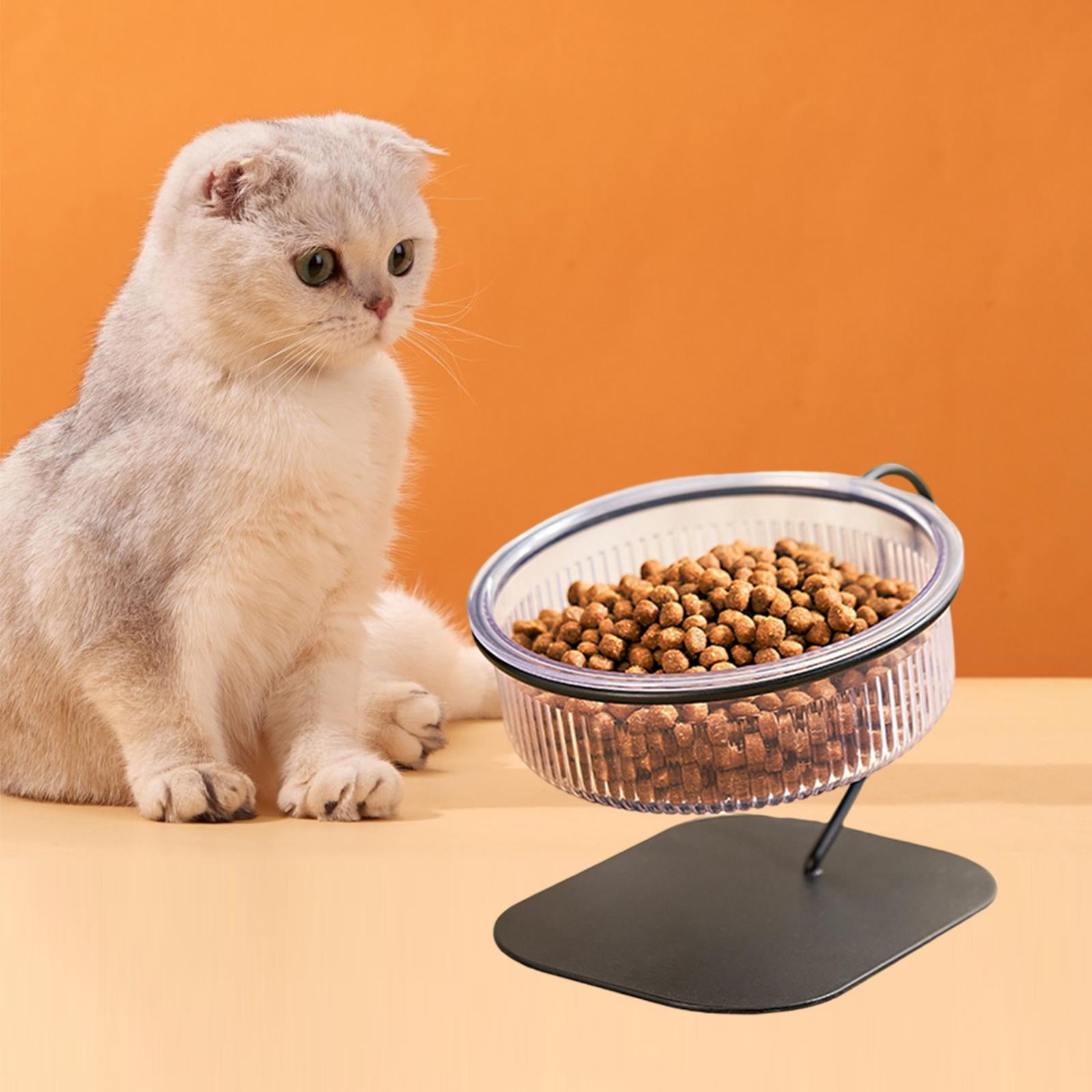 Raised Cat Food Bowl Stable Durable Water Bowl Removable Dog Bowl Pet Feeding Station Pet Feeder Food Container with Stand for Kitten Puppy