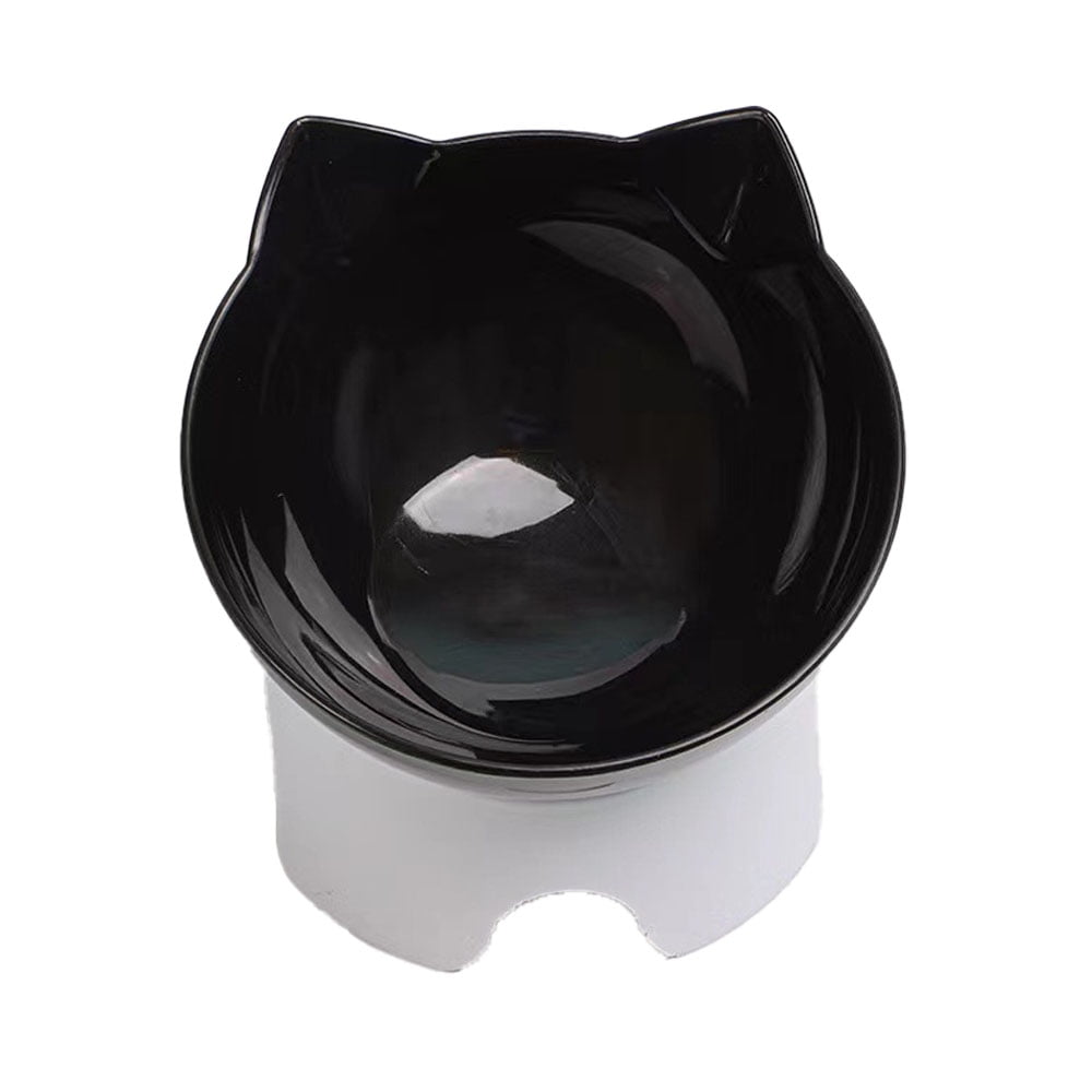 Raised Cat Food Bowls Elevated Cat Bowls Anti Vomiting Tilted Raised