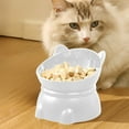 thumbnail image 1 of Raised Cat Food Water Bowl, 450ml Whisker-Friendly Anti-Tip Plastic Feeder with Neck Protection (White, 1pc), 1 of 6