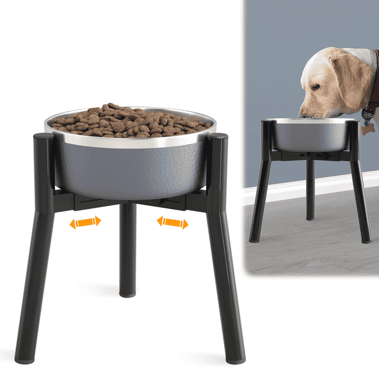 Standing dog bowls discount