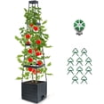 thumbnail image 1 of Raised Garden Bed Planter Box with Trellis, 57" Self-Watering Tomato Cage Planters for Climbing Plants Vegetable Vine Flowers Outdoor & Indoor, 1 of 9