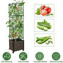 Raised Garden Bed Planter Boxes with Trellis for Climbing Vegetables Plants, 63" Tomatoes Planters Outdoor Tomato Cage w/Wheels 1 Pack