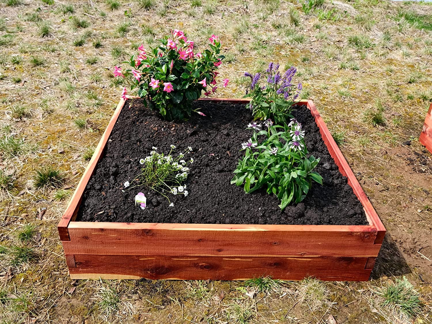 Raised Garden Bed | Wooden Planters for Outdoor Plants Box Panel Great ...