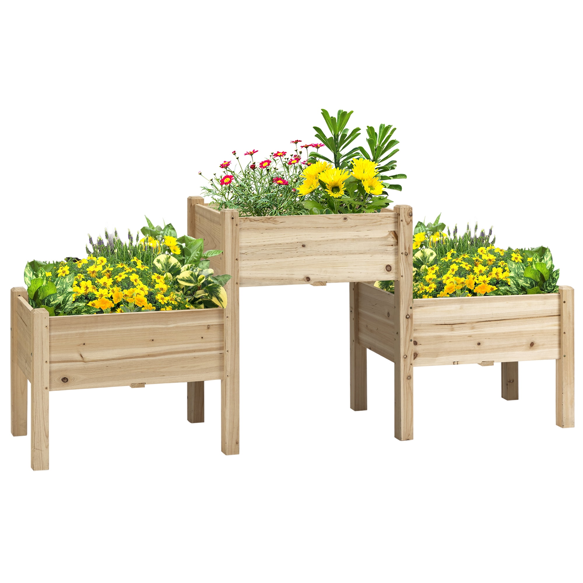 AsterOutdoor Raised Garden Bed with 3 Planter Boxes, Elevated Wooden Plant Stand with Drainage Holes for Vegetables, Herbs & Flowers, Natural