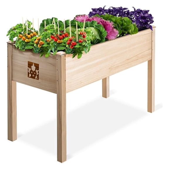 Raised Garden Bed with Legs 48x24x30 - Natural Cedar Wood Elevated Planter Box with Bed Liner for Flowers, Veggies, - 200lb Capacity